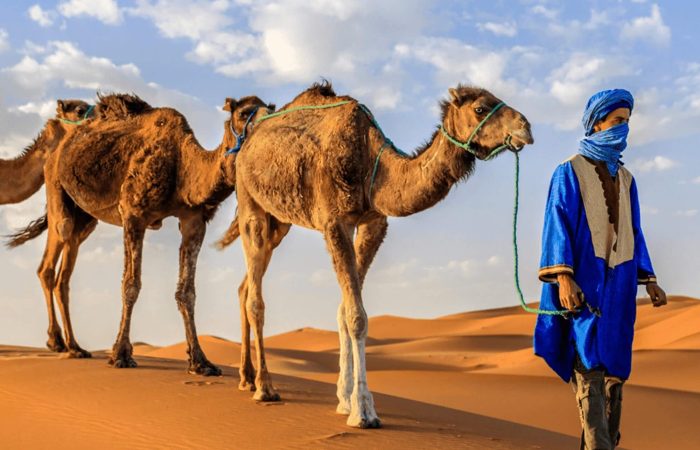 3 Days From Errachidia To Fes 3 Días desde Errachida a Fez