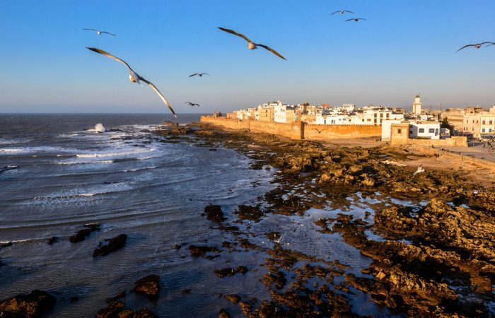Essaouira day trip from Marrakech Excursión a Essaouira